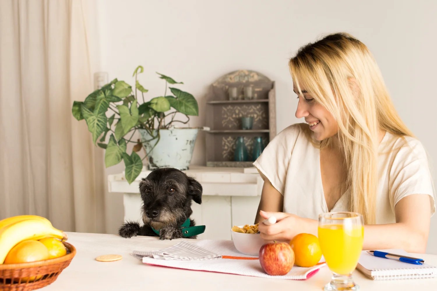 Top 5 Benefits of Sweet Potato in Dog Diets