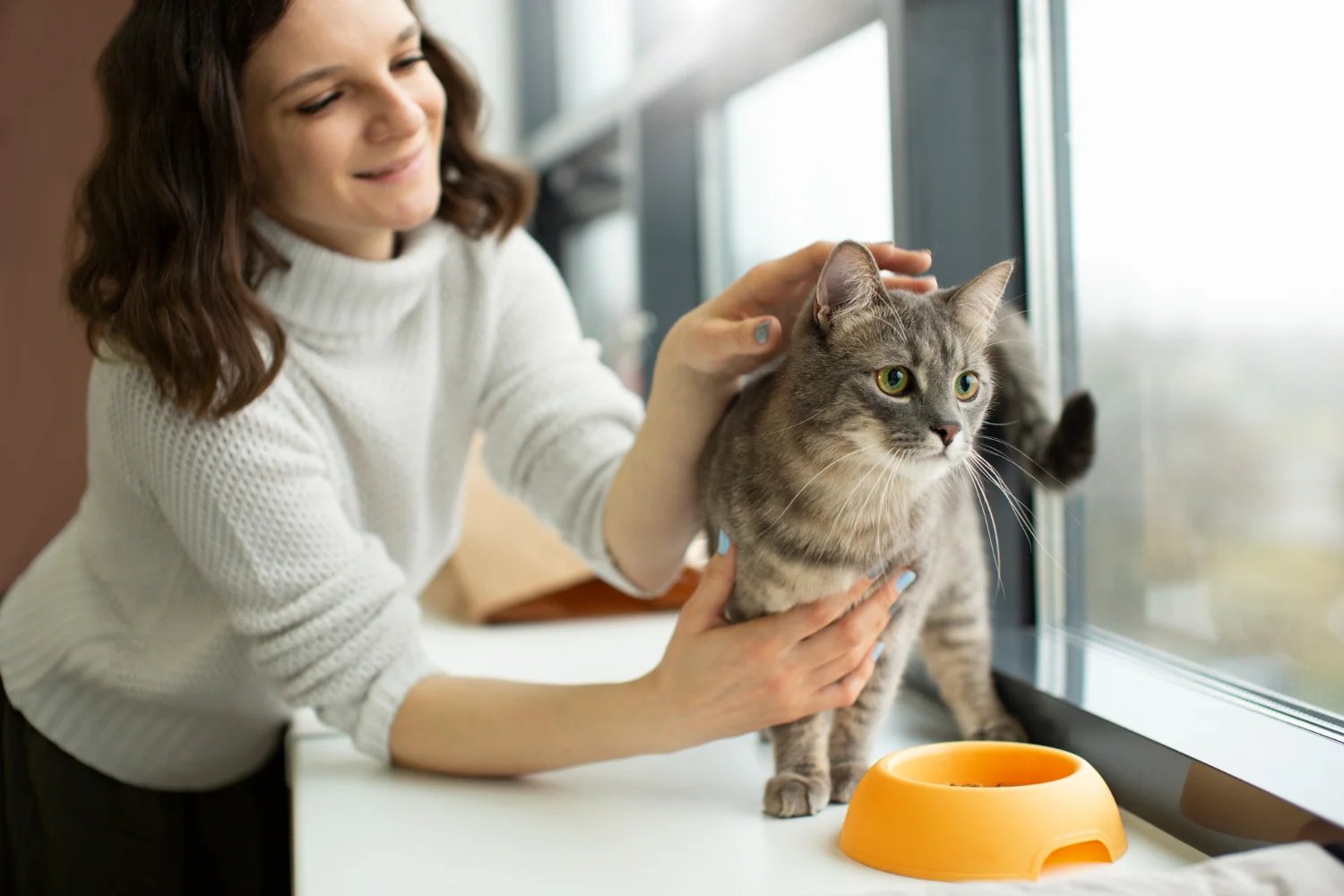 How to Introduce New Cat Treats Safely