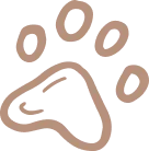 Paw Print